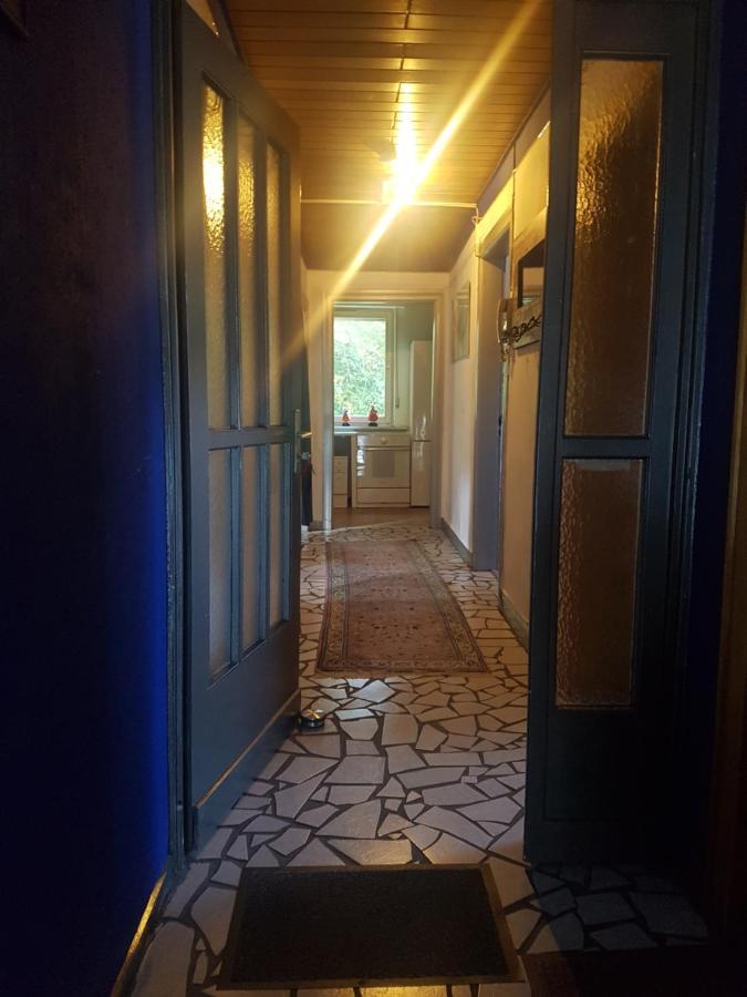 Ferienwohnung Kunterbunt Винтерберг Экстерьер фото